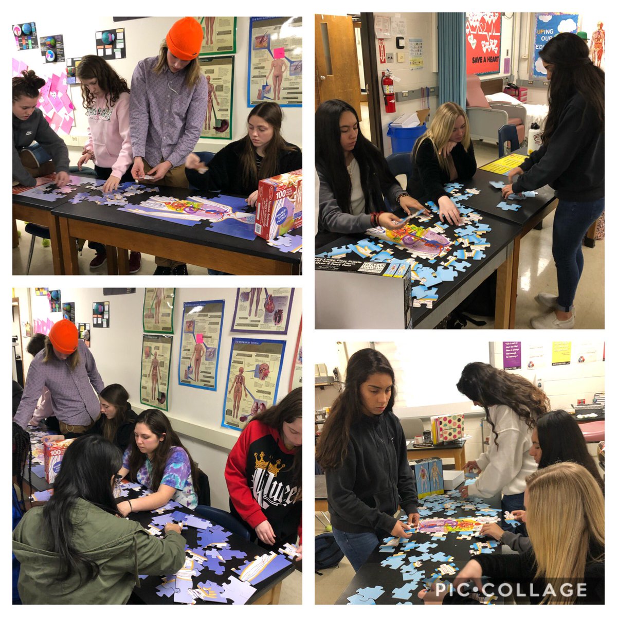 CTC AoHP (@aohpctc) on Twitter photo AoHP 1A class learning about body organization through puzzle competitions!@YohoDebbie <a href="/CTCPrincipal/">CTC Principal</a> <a href="/FrederickCTC/">FCPS_CareerTech</a> <a href="/FCPSCTE/">FCPSCTE</a> AoHP 1A class learning about body organization through puzzle competitions!@YohoDebbie <a href="/CTCPrincipal/">CTC Principal</a> <a href="/FrederickCTC/">FCPS_CareerTech</a> <a href="/FCPSCTE/">FCPSCTE</a>