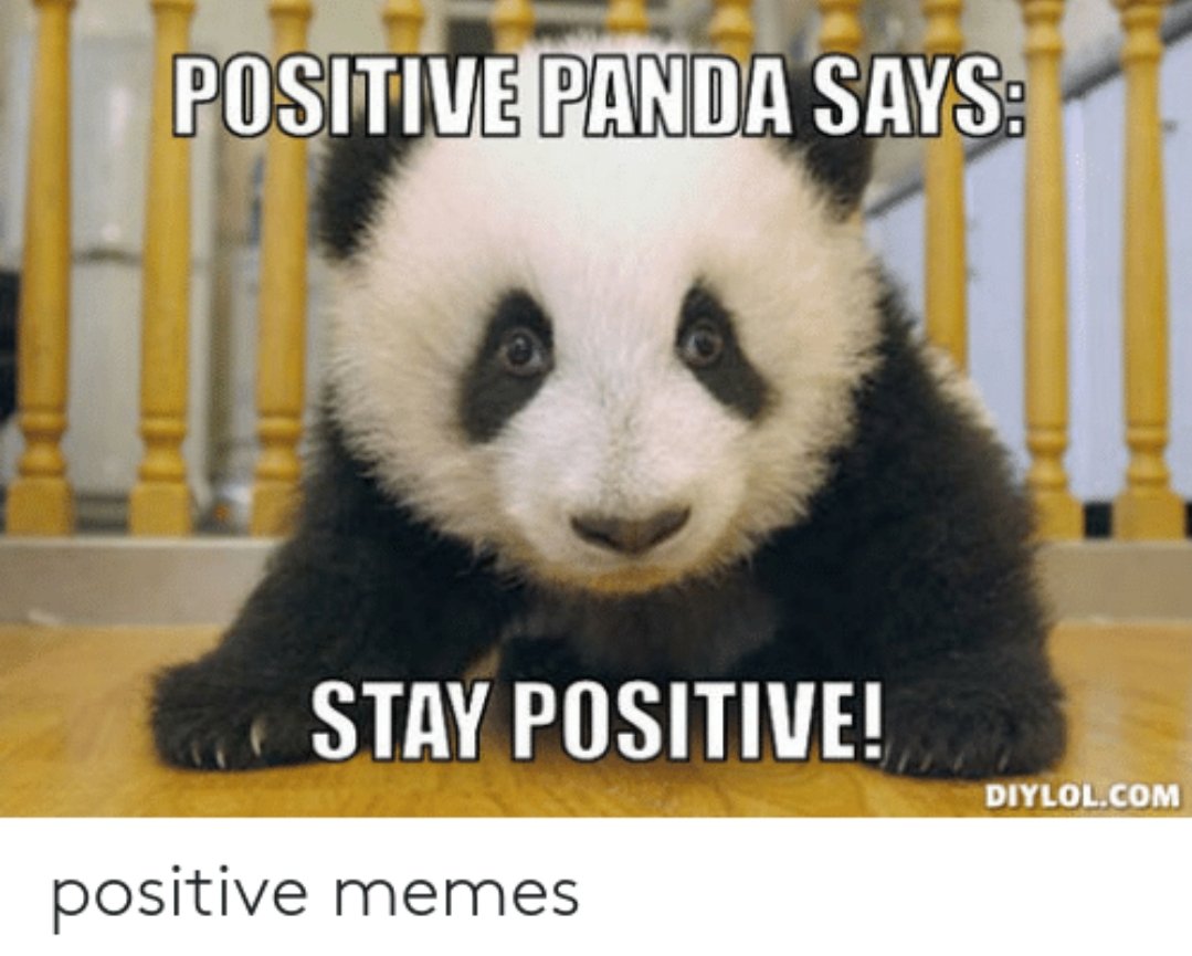 TheCustomCrate's tweet photo. FRIDAY FUN:
Happy Friday Everyone! 🐼

#PositiveVibes #Meme #Friday https://t.co/wOFHr7zk89