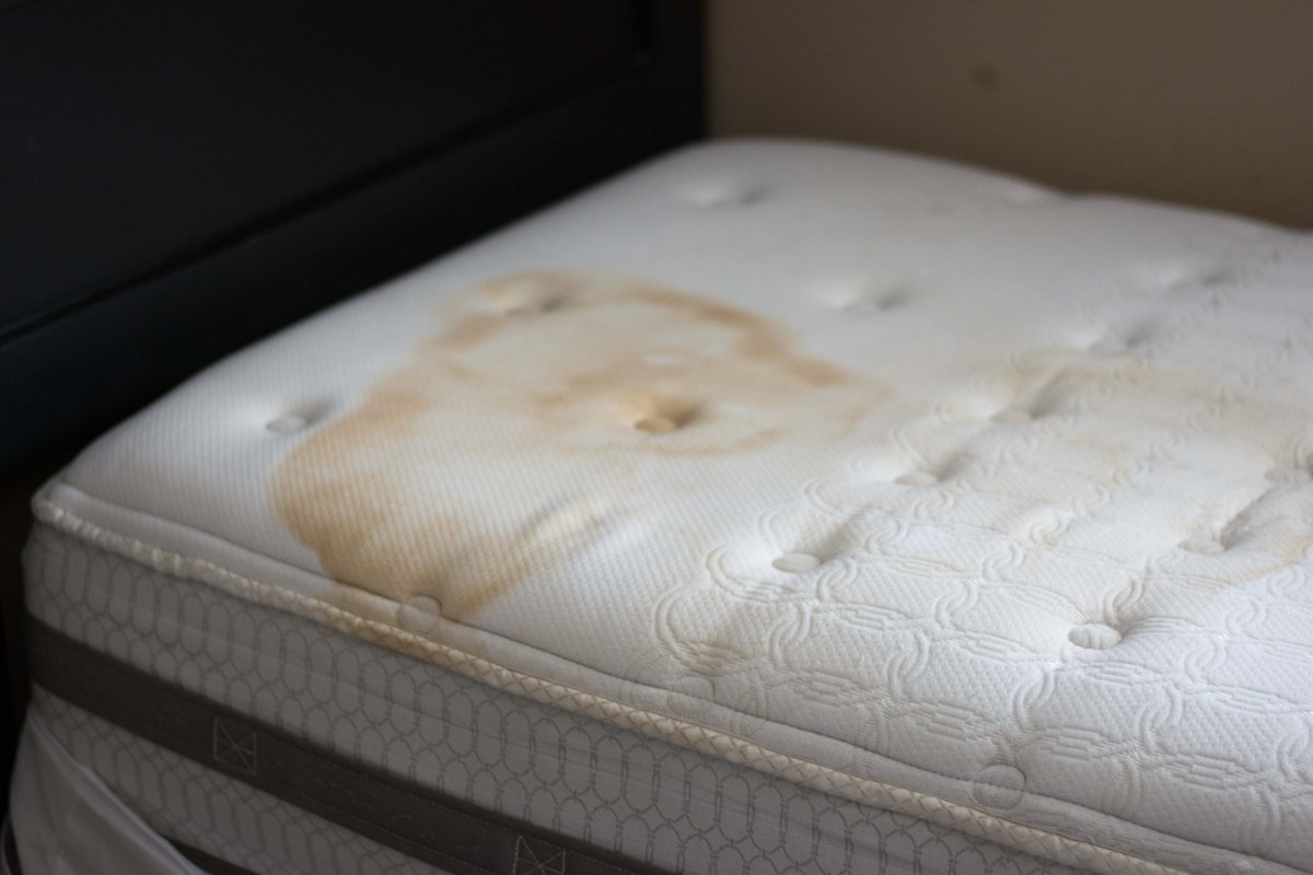 Did you know that Staph, Streptococcus, and Pneumonia reside in mattresses over long periods of time!