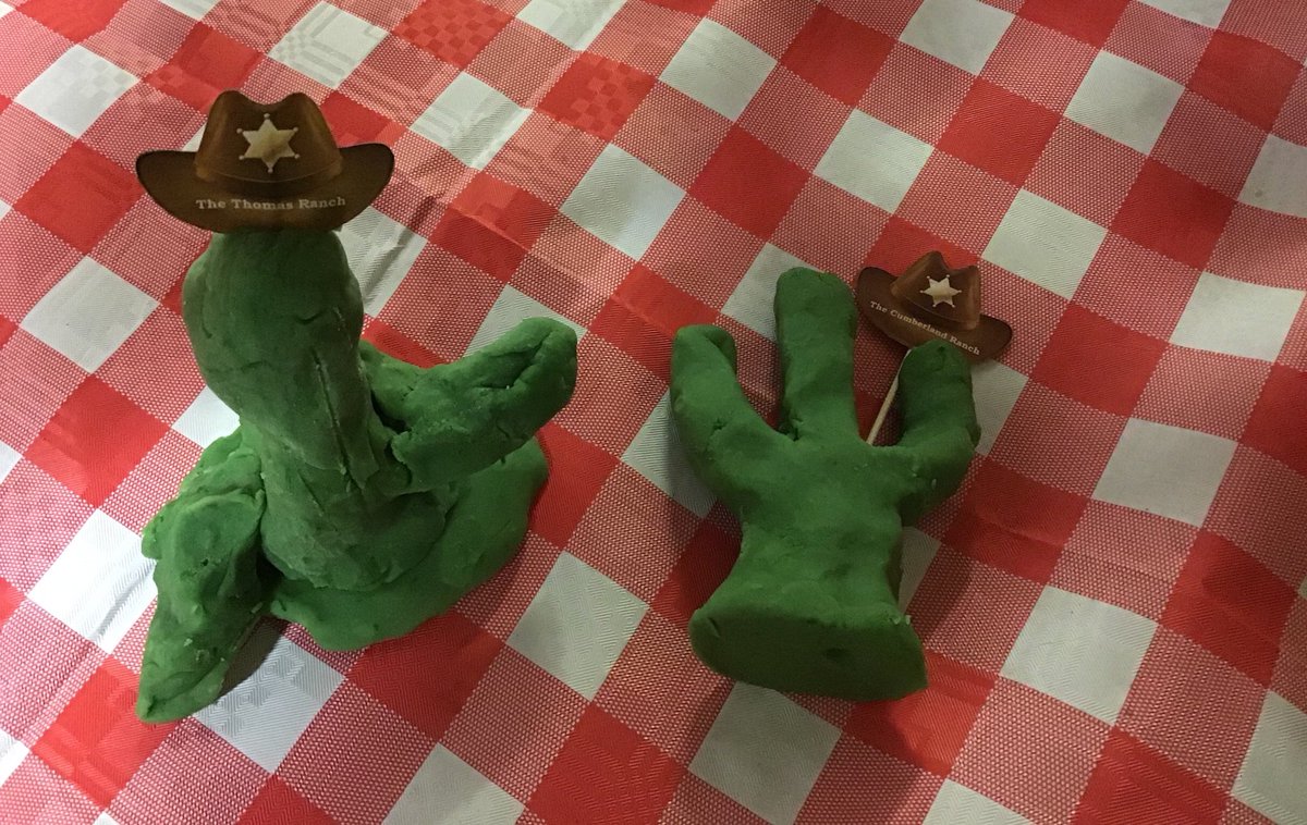 StocktonHeathPS's tweet image. Cactus making fun! #usingourimagination