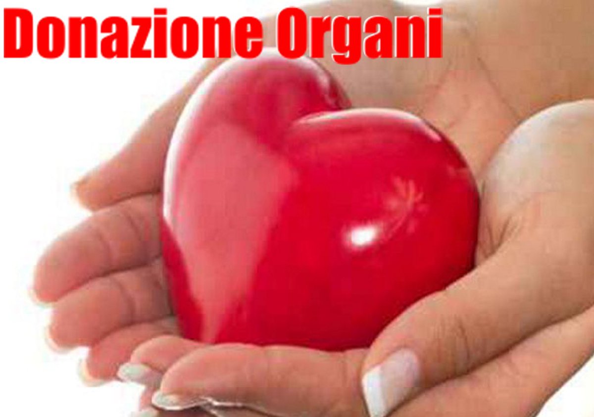 mario mariano (@mimar2000) on Twitter photo Donazione organi restituisce la vita a più persone Equipe multidisciplinare impegnata oltre i turni di lavoro <a href="/ospedaleperugia/">Ospedale di Perugia</a>
ansa.it/umbria/notizie… Donazione organi restituisce la vita a più persone Equipe multidisciplinare impegnata oltre i turni di lavoro <a href="/ospedaleperugia/">Ospedale di Perugia</a>
ansa.it/umbria/notizie…