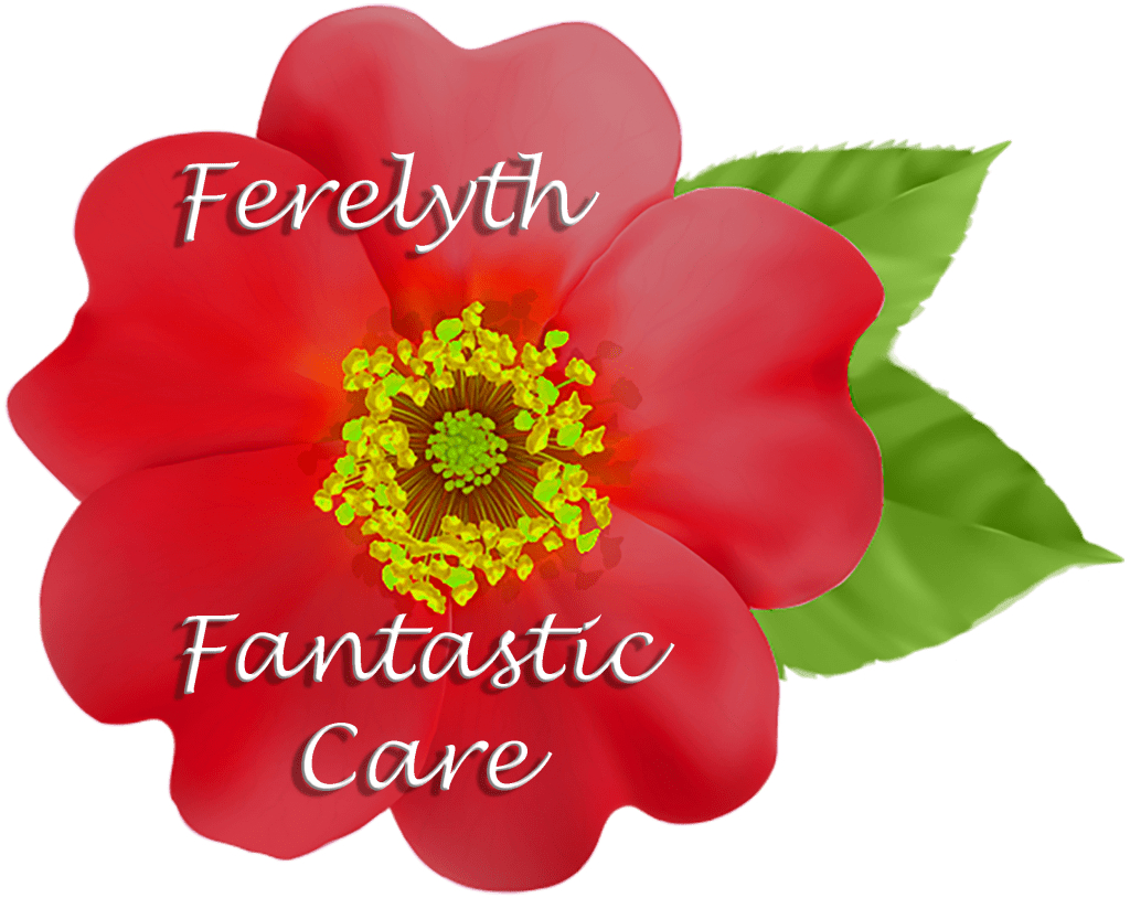 New Blog Post: Fabulous Friday's Ferelyth Another Wild Rose superhero! #yeg #yegcares wildrosecaregivers.com/fabulous-frida…
