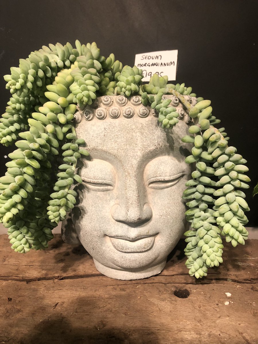 Feeling calm this Friday 😊🌱🙏