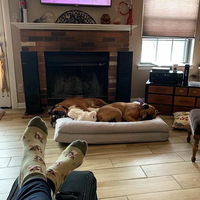 Maxhazel's tweet photo. Mom is back home again ! Time for a nap. https://t.co/Be2bcH21Hg https://t.co/RTZOefjmzd