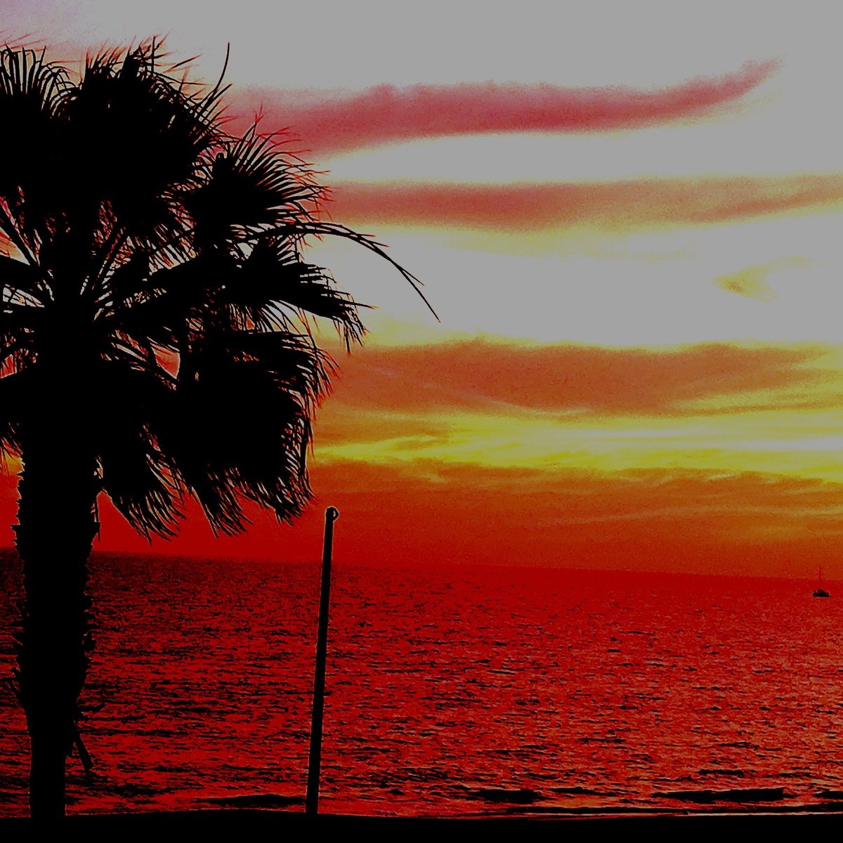 bertott77's tweet image. #NuevaFotoDePerfil