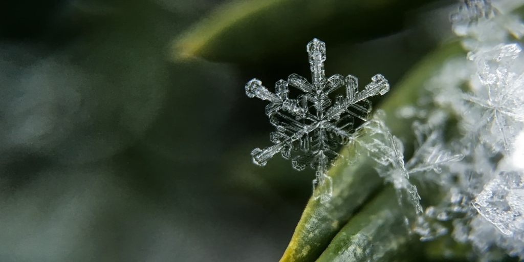 We’re not out of winter yet! Patients with COPD can take steps to stay healthy and limit their risk of exacerbations, aka “flare-ups,” which can lead to hospitalizations. Learn what you can do: bit.ly/2voW19Z #COPD #Exacerbations