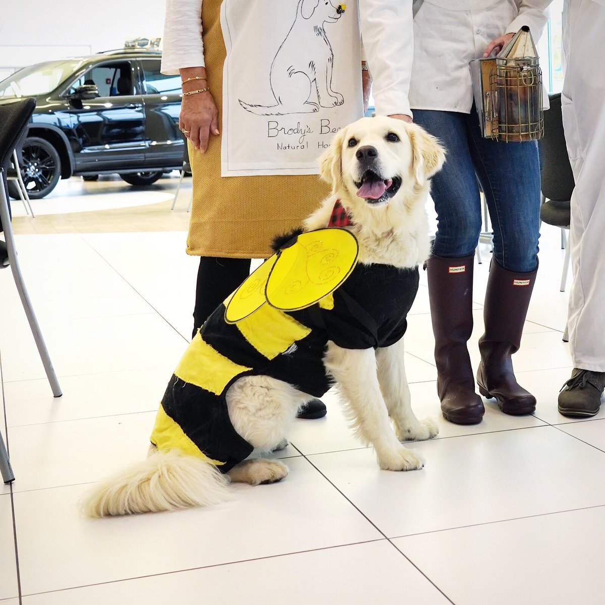 “I can’t BEElieve there’s only a few days left to save BIG during our #PresidentsDay Sale!” -Olive 🐾
RockinghamHonda.com