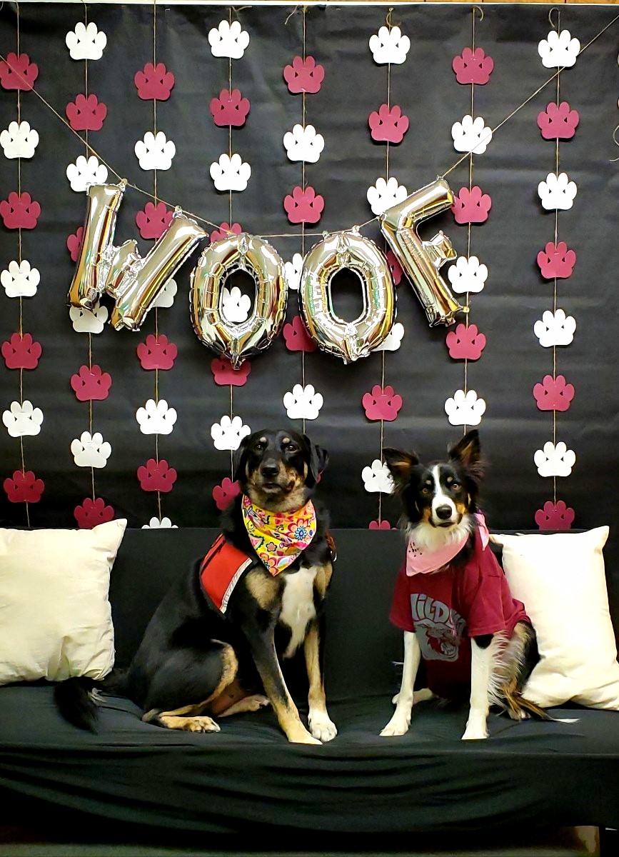 Wood River Elementary on Twitter "WoodRiverElemen Nothing better than