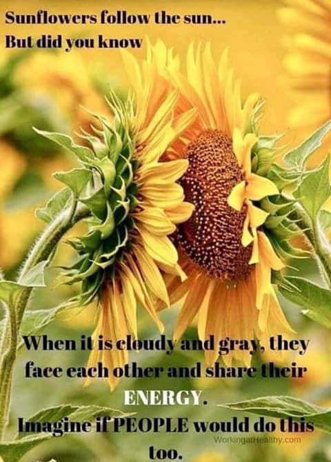 TailorFitLife's tweet photo. How are you sharing your energy today?

#tailorfithomesgroup #realestate #atxrealtor #atxrealestate https://t.co/BnVKZ5Vxjc