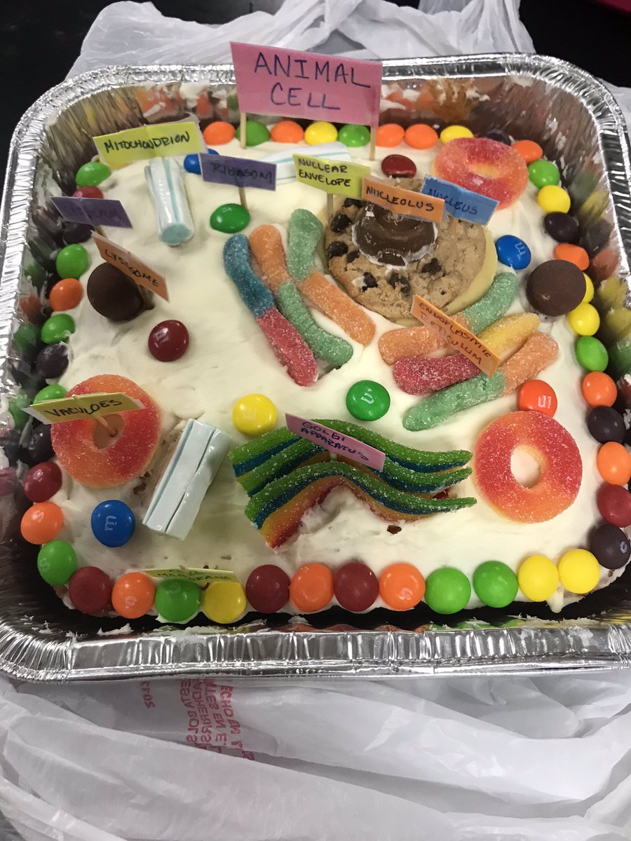 plant cell project cake ideas