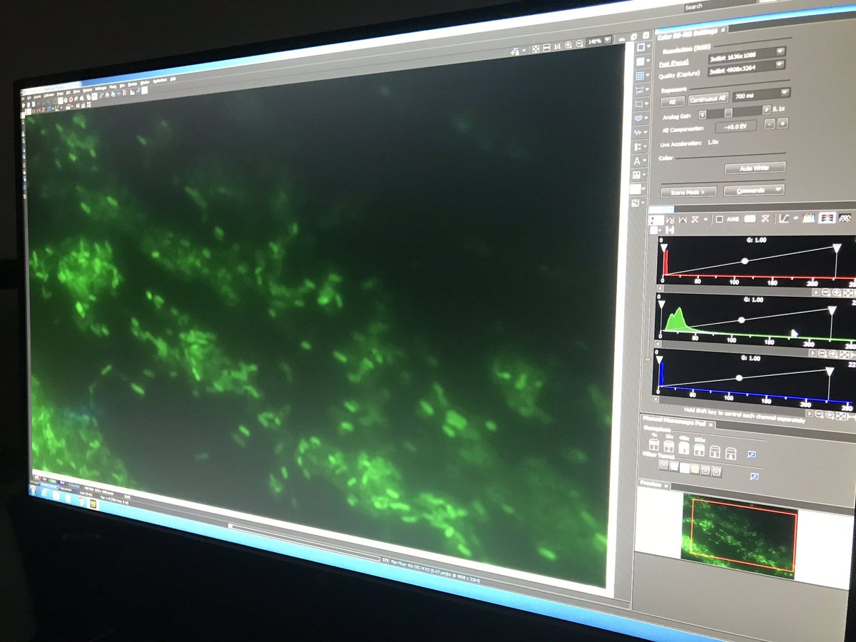 John Faison tweet media