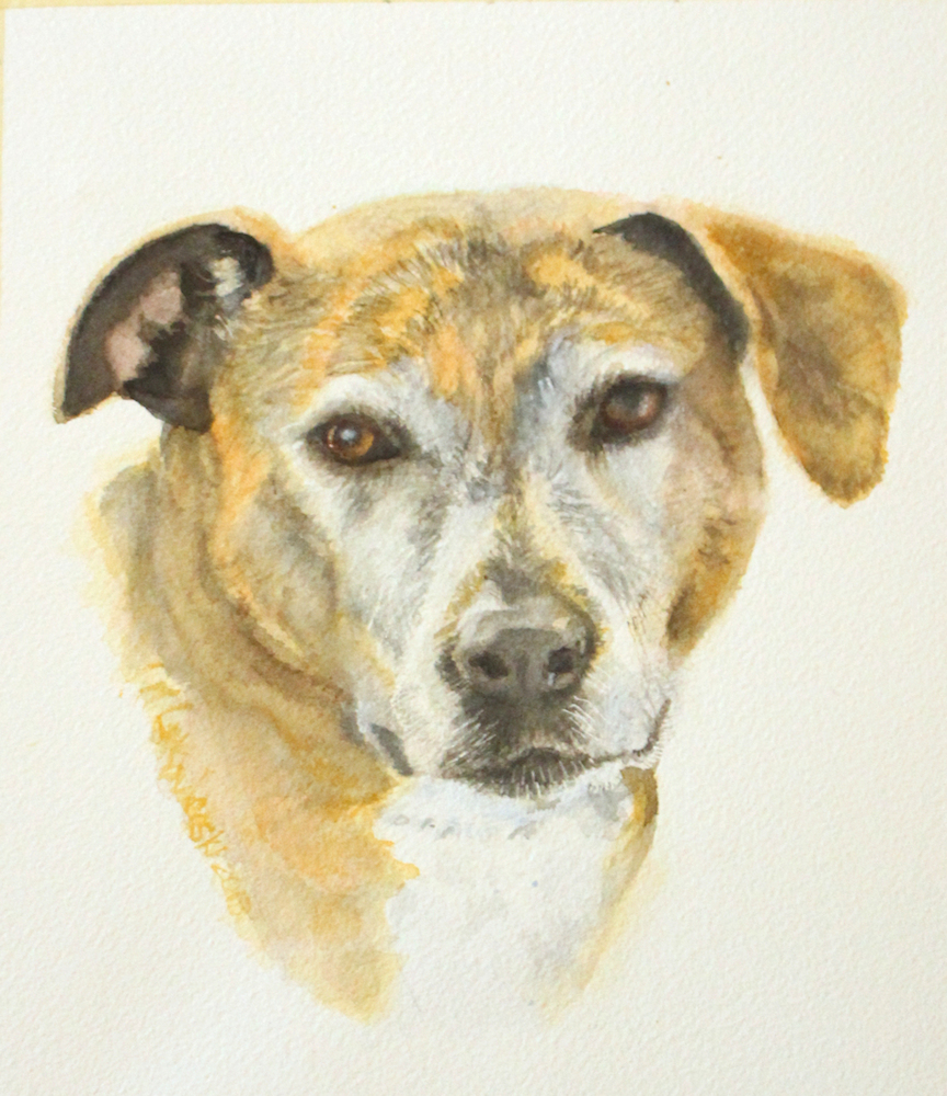 Custom Pet Portraits - Watercolor
SycamoreWoodStudio.etsy.com 

etsy.com/listing/578186…
#dogs #cats #horses #portraits #watercolorpainting #dogsarefamily #CatsOnTwitter #etsy #etsyTeamUnity #integritytt #KISTeam #SycamoreWoodStudio