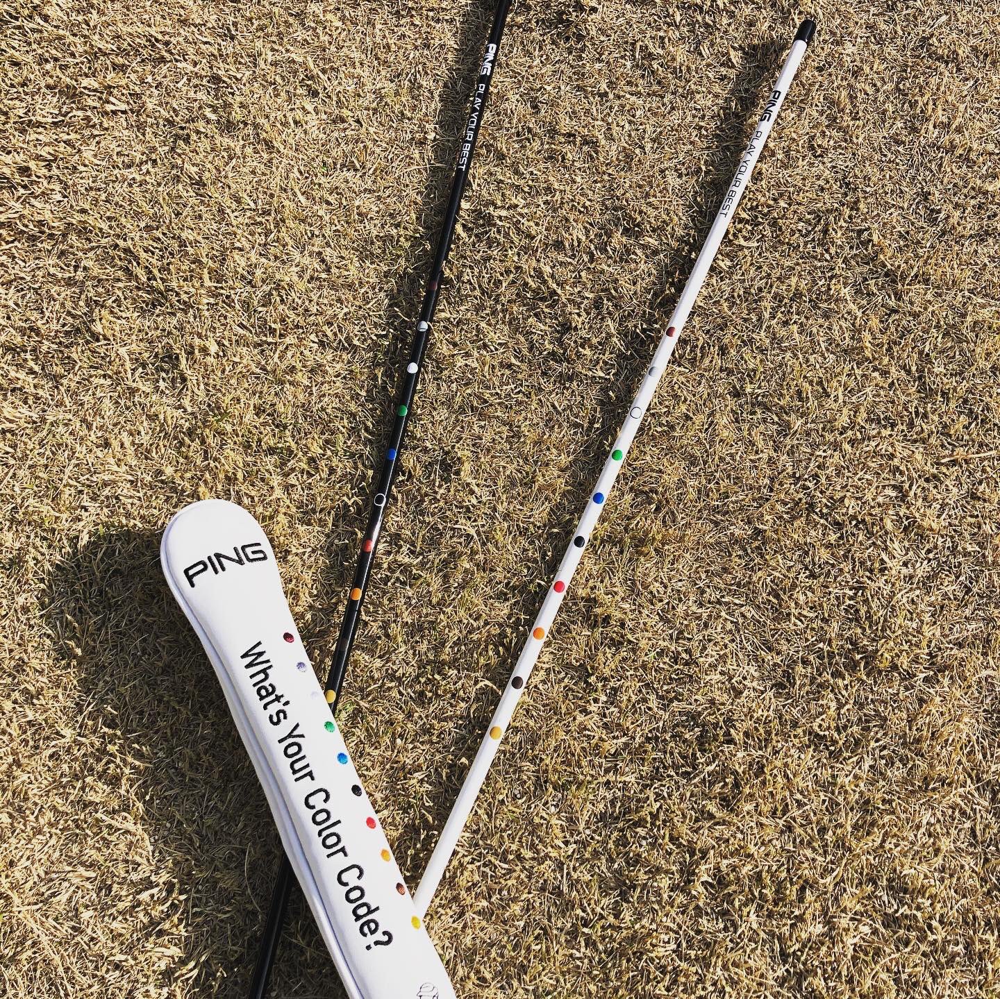 Pingアライメントスティック