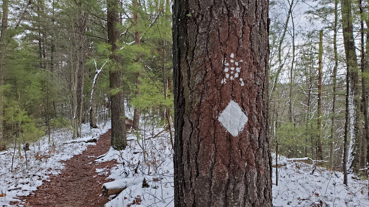 TheAPOutdoors's tweet photo. I had such a great time at #RedRiverGorge that I still find myself daydreaming about my time there... #backpacking #backpacker #camping #hiking #Sheltowee #hikeKY #winterfun #wintercamping #winterBackpacking https://t.co/Y5Bc5qSmsE