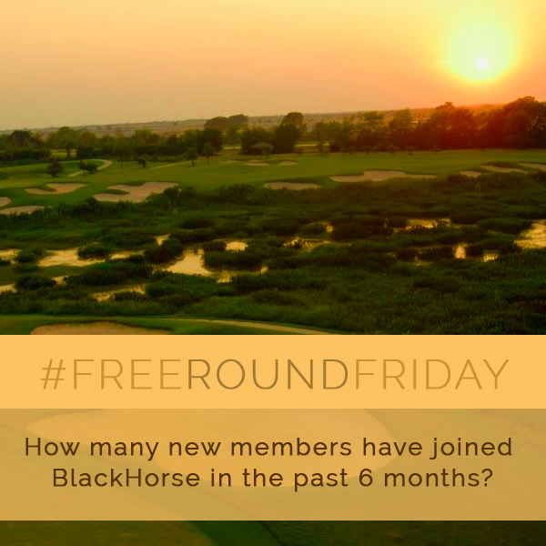 It's #FreeRoundFriday! First correct/closest answer wins a free round. Congratulations to Jordan Massey, our last FRF winner. We sold 27 themed desserts on Valentine's Day! Jordan was first to guess closest with 32. 🤩