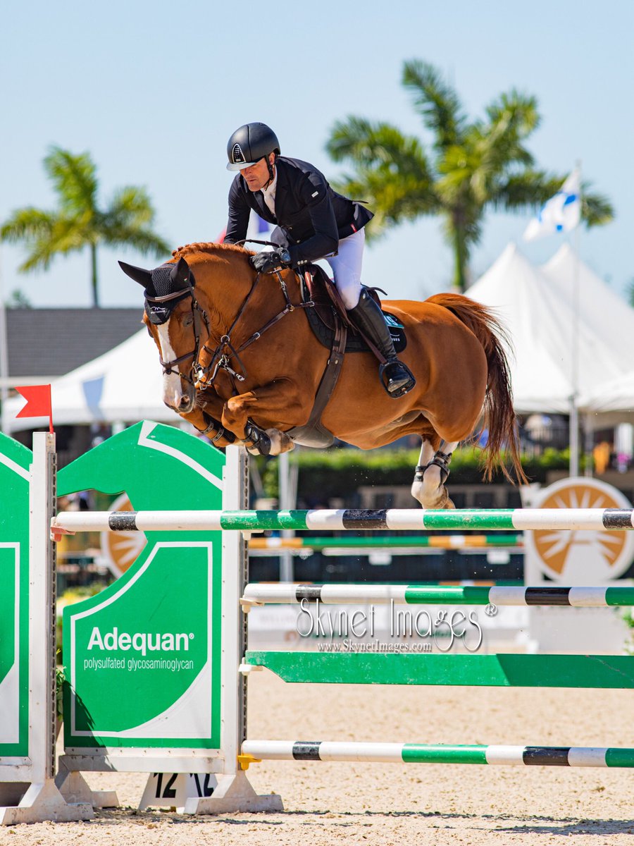 OlympianExpress's tweet photo. OlympianExpress™️| Style(Of)MyEye |

Be The Best In What You Do!
•
•
•
📸:OEM / SkyNetImages x Johnny Cowboy Jules 
•
•
•

#equestrian #horse #horses #canon #canonphotography #horsesofinstagram #dressage #equestrianlife #equine #horseriding #showjumping #pony #WEF2020 https://t.co/qd40ywwobM