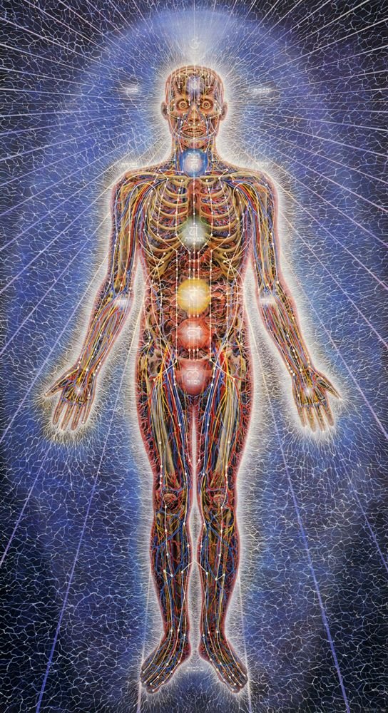 ...to our physiology through energetic meridians in the body. Keep in mind, we cannot stop others from forming these connections nor should we demonize them to the point of blind, willful ignorance. Instead, we should begin co-creating with the Logos to create a wall of light...