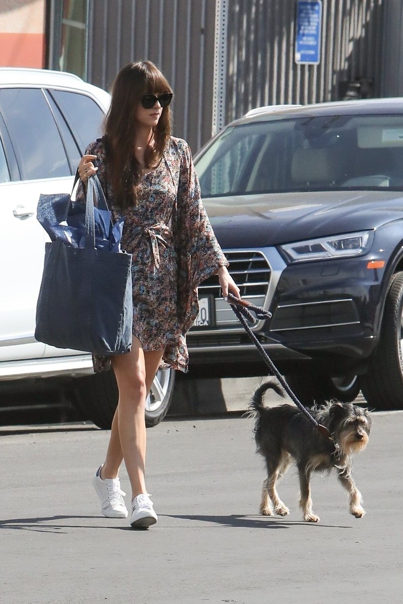 foreverdamie_'s tweet photo. 28.02| Dakota foi fotografada passeando com Zeppelin pelas ruas de Los Angeles 💞
#DakotaJohnson https://t.co/swOBTsDT5E