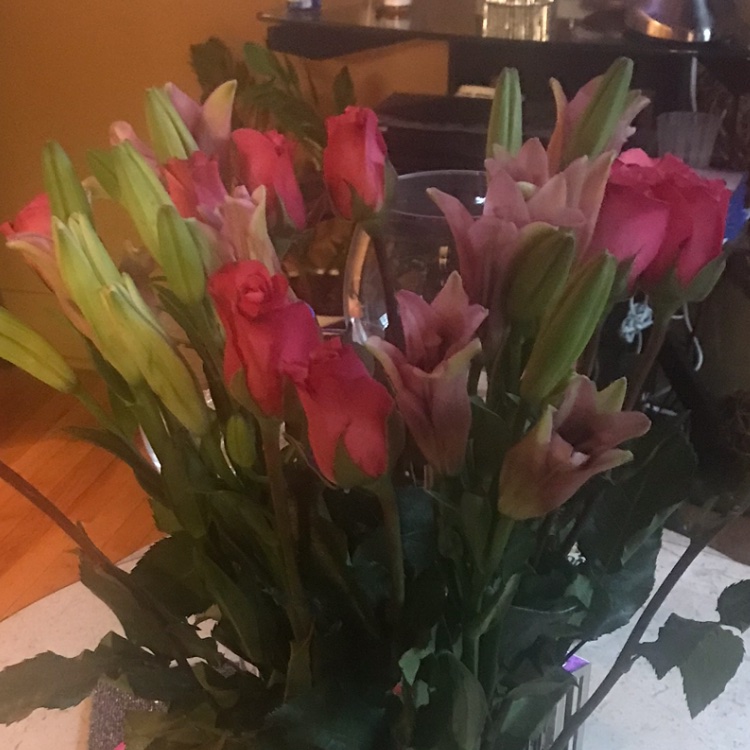 TSOP2's tweet image. Loved