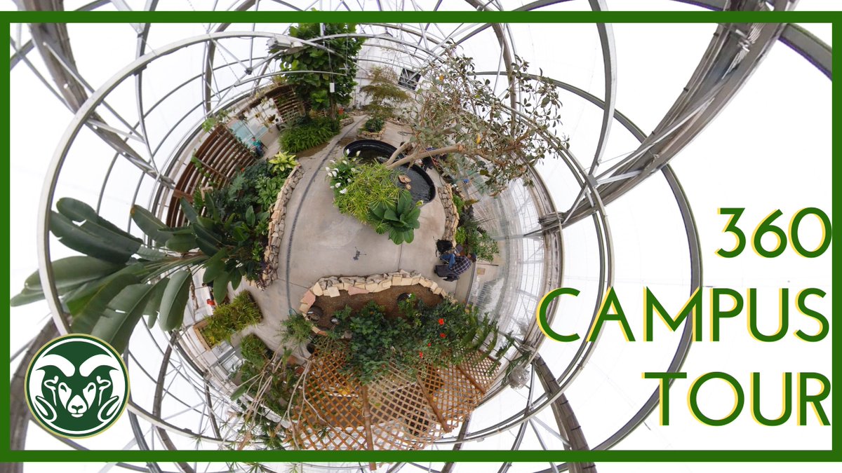 CSU_VR's tweet image. It&apos;s time to get in touch with nature as this weeks upload takes you to the Conservatory inside CSU&apos;s Plant Growth Facilities, an absolute hidden gem on campus! Check it out in this video, and then check it out in person:

youtu.be/sKh3wvldr9U