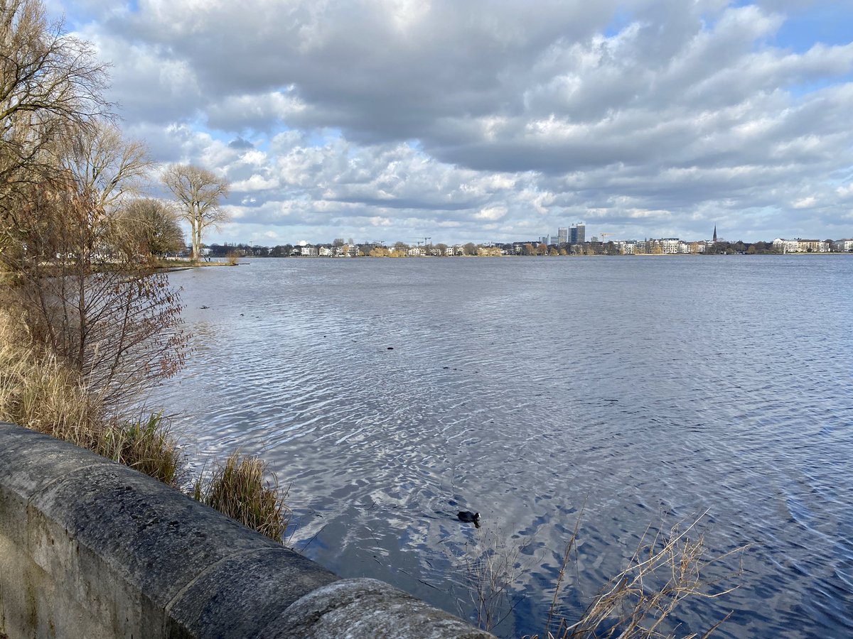 VictoriaHamburg's tweet photo. Mal was Entspannendes: Ich war heute an der Alster und da war es sehr schön. https://t.co/hR8W3YoYLi