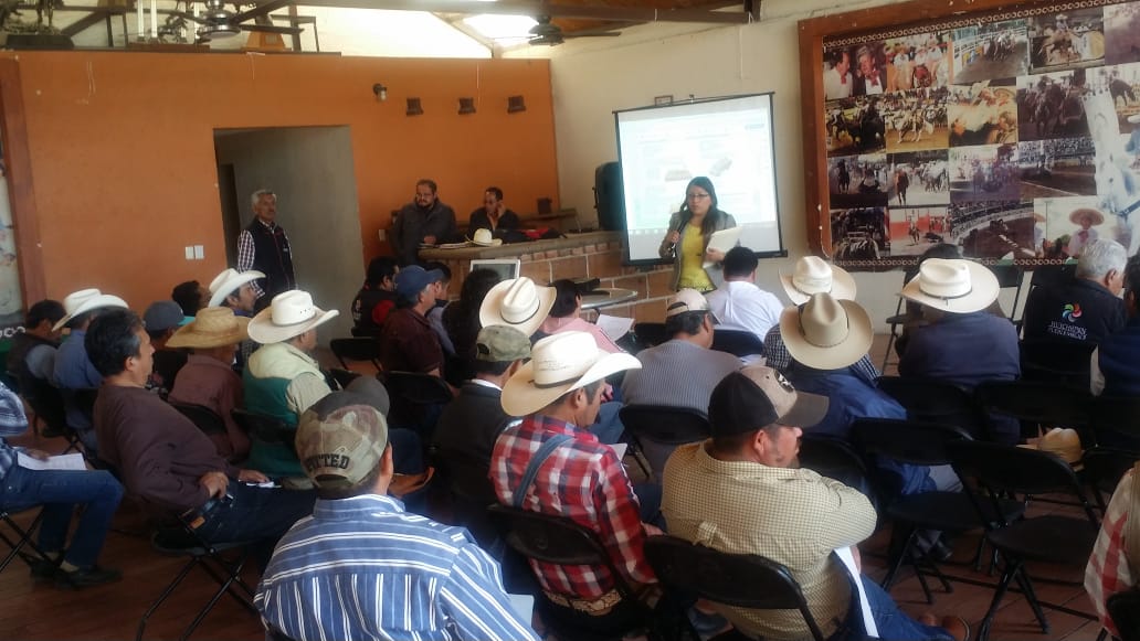 DDR06_HGO's tweet photo. Se participó en la 2da. Reunión del CMDRS Huichapan Hgo.  se dio a conocer las R. O. del https://t.co/1erJpX7OaM Producción para el Bienestar y su mecánica oper. además los precios de garantía a produc.aliment. básicos y altern.productivas con aprov.sustentables de rec. naturales https://t.co/CFz30deaCY