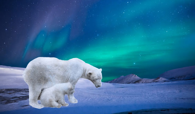 jelo's tweet photo. Aurora https://t.co/Rkd6KTvFyf https://t.co/FZEuXWI5BJ