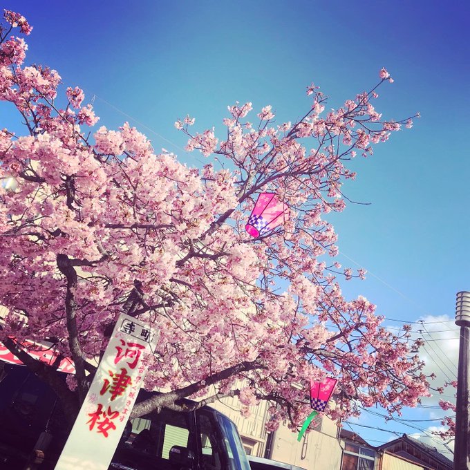 冬よ又会いましょうのtwitterイラスト検索結果 古い順