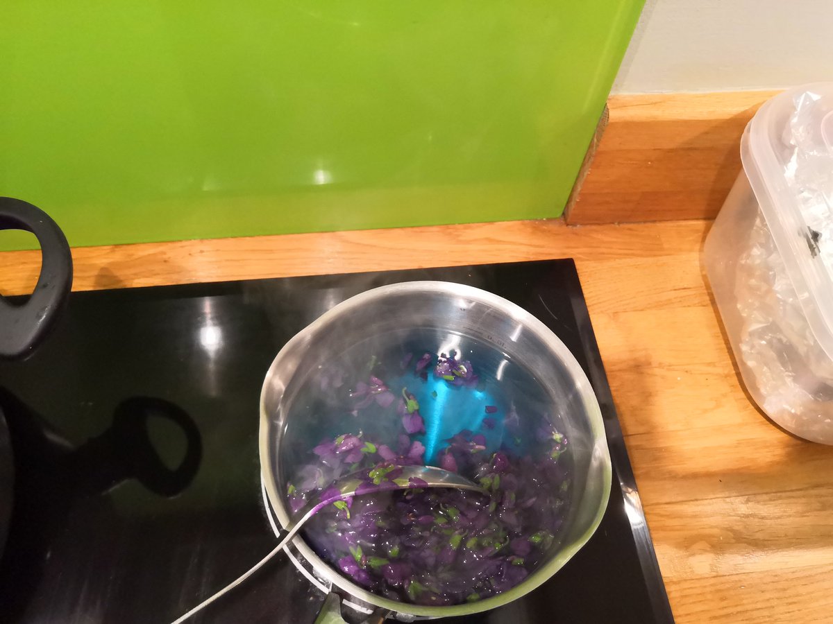 outdoor_gems's tweet photo. The #ForagersKitchen.....A wonderful mix of colours
I'm loving some syrup making tonight
Let's see yours!
#foraging #earth #naturelovers #edible #poweredbyplants #plantpower #plantbased #ProvidedByNature #GetOutside
@ForagerCotswold @forager_s @tfrancisbaker @food_forage_fdr https://t.co/5q8pHZo00F