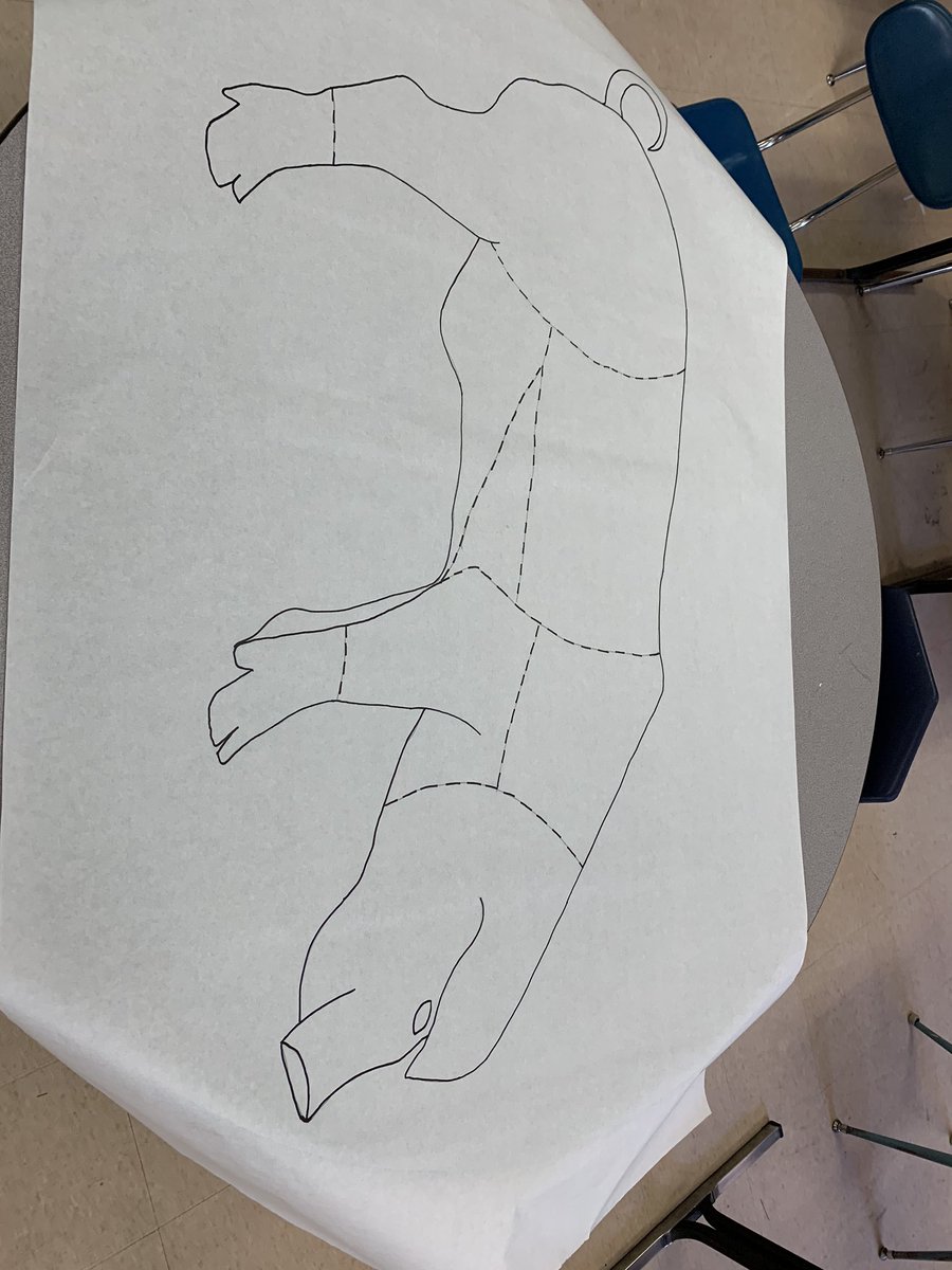 LehmannFACS's tweet photo. I’m very excited about my wholesale meat cuts posters! I’ll color them next week! #wehavethemeats #primalcuts 🐷🐮 https://t.co/NW0enqb2DR
