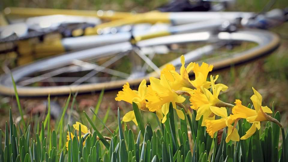 haddingtoncycleclub tweet media