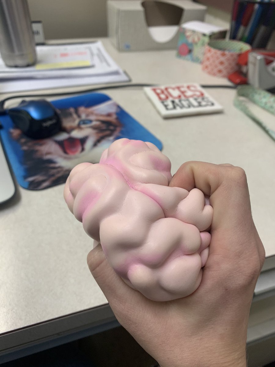 DYoung_SW's tweet photo. How my brain felt after powering through this week! Haha #gcsk12 #gcspln https://t.co/OxFdFqYDoW