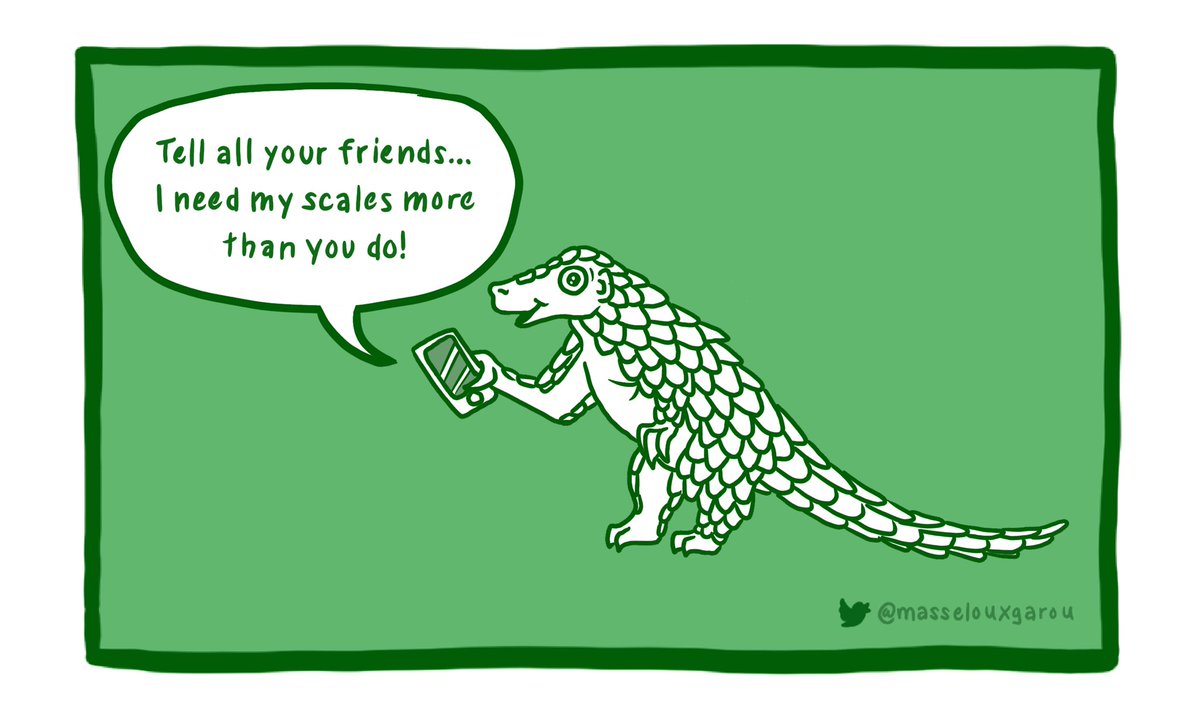 masselouxgarou's tweet photo. #PangolinFunFact Day 26: Despite the threats against them, public awareness of pangolins is very low. In a 2016 WWF survey in the UK, only 8% of participants were able to identify pangolins. Spread the word, support education initiatives, and help end pangolin trafficking! https://t.co/9hdyDSmDzG