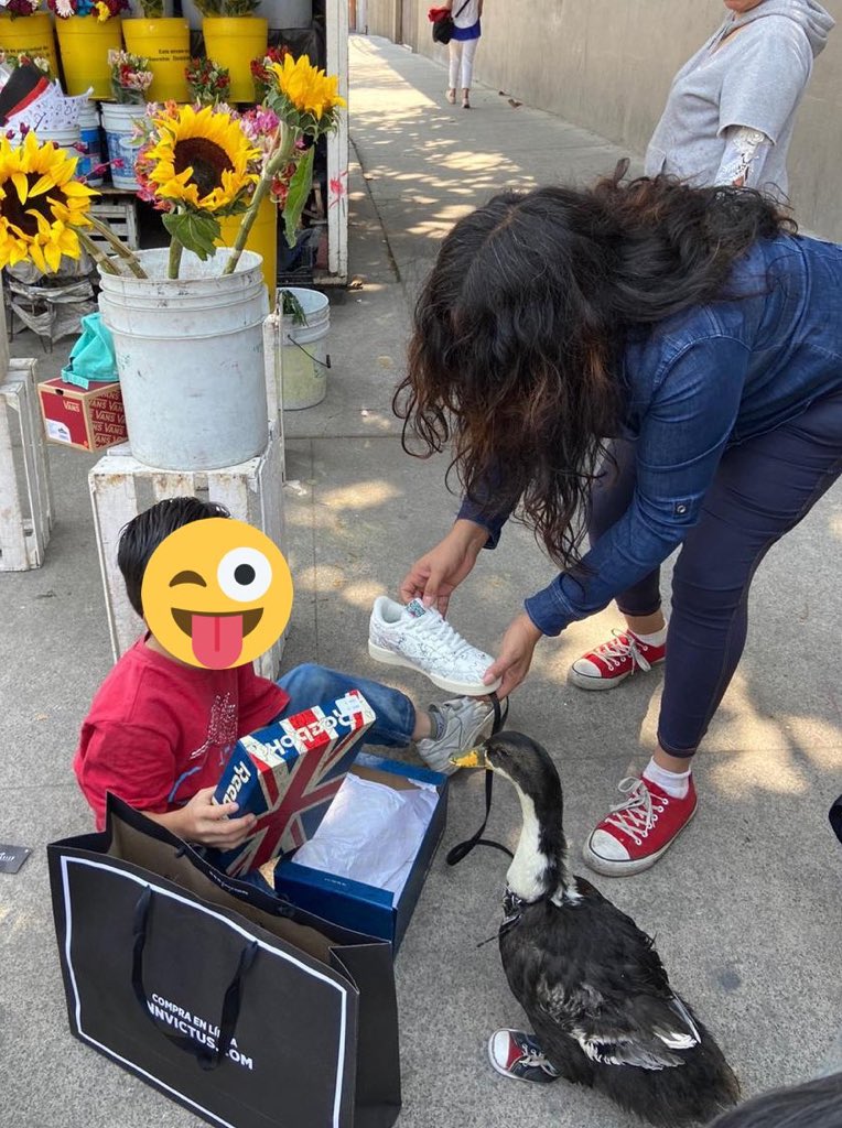 SuavesLomitos's tweet photo. ¿Se acuerdan del PATO con tenis en el metro de la CDMX? 

Pues a su dueño y a él les mandaron unos sneakers perrones  😂🙌🏼🥳🦆 https://t.co/qOUYk124g4