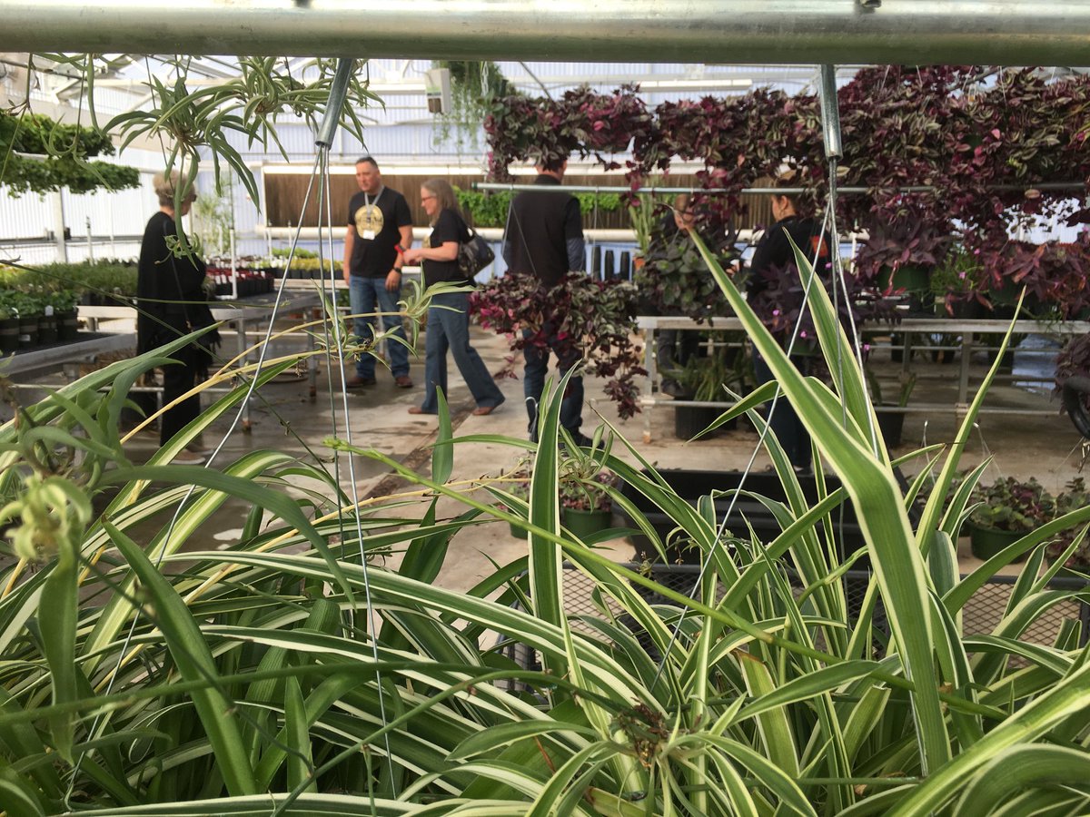 Ann Work Goodrich tweet media