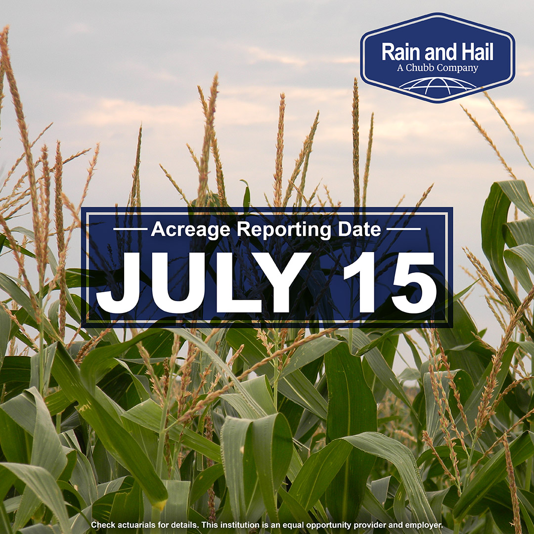 Richards_Insure's tweet photo. MPCI Clients ** Acreage Reporting Deadline https://t.co/SDJpsEThcO