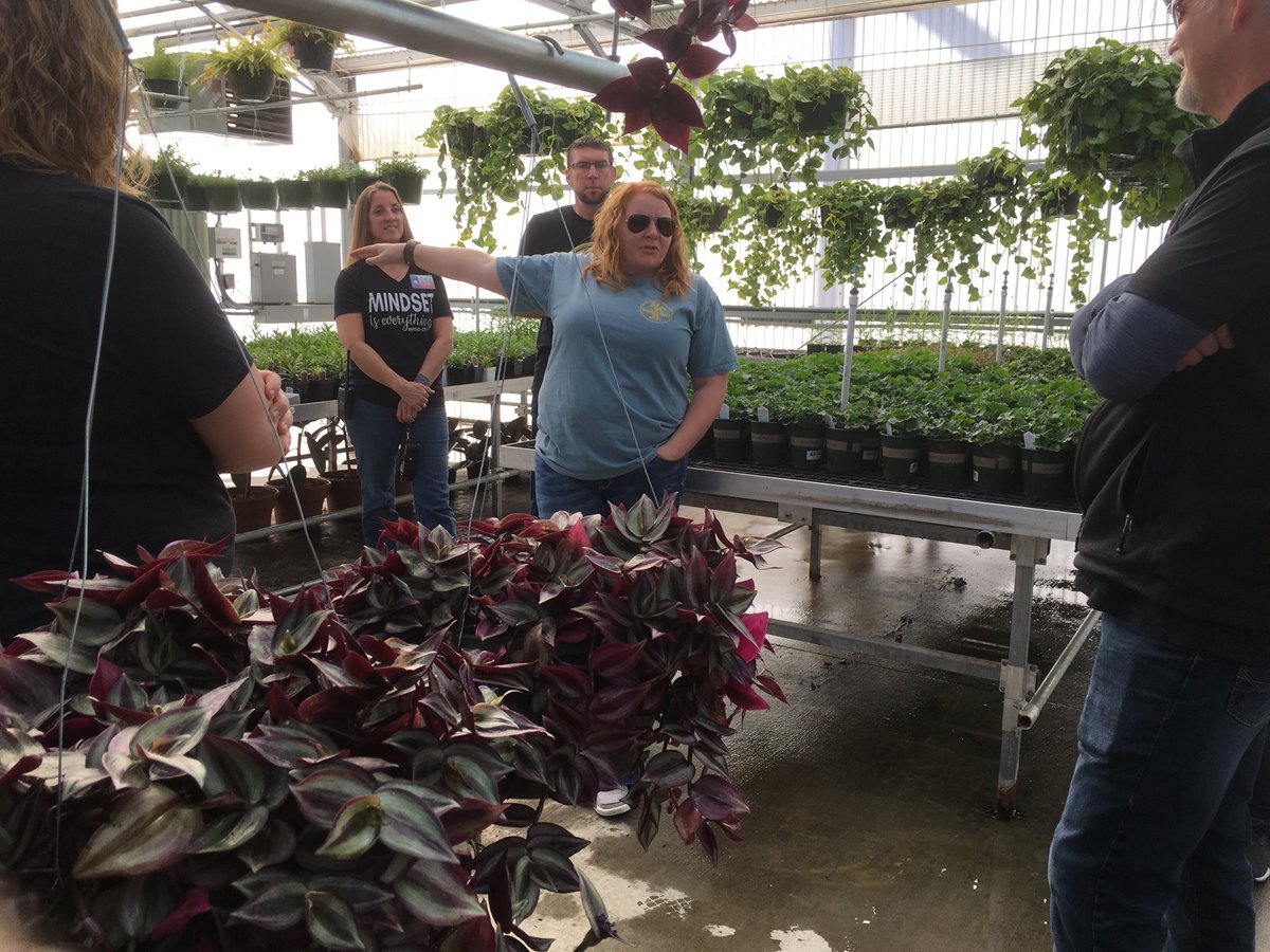 Ann Work Goodrich tweet media