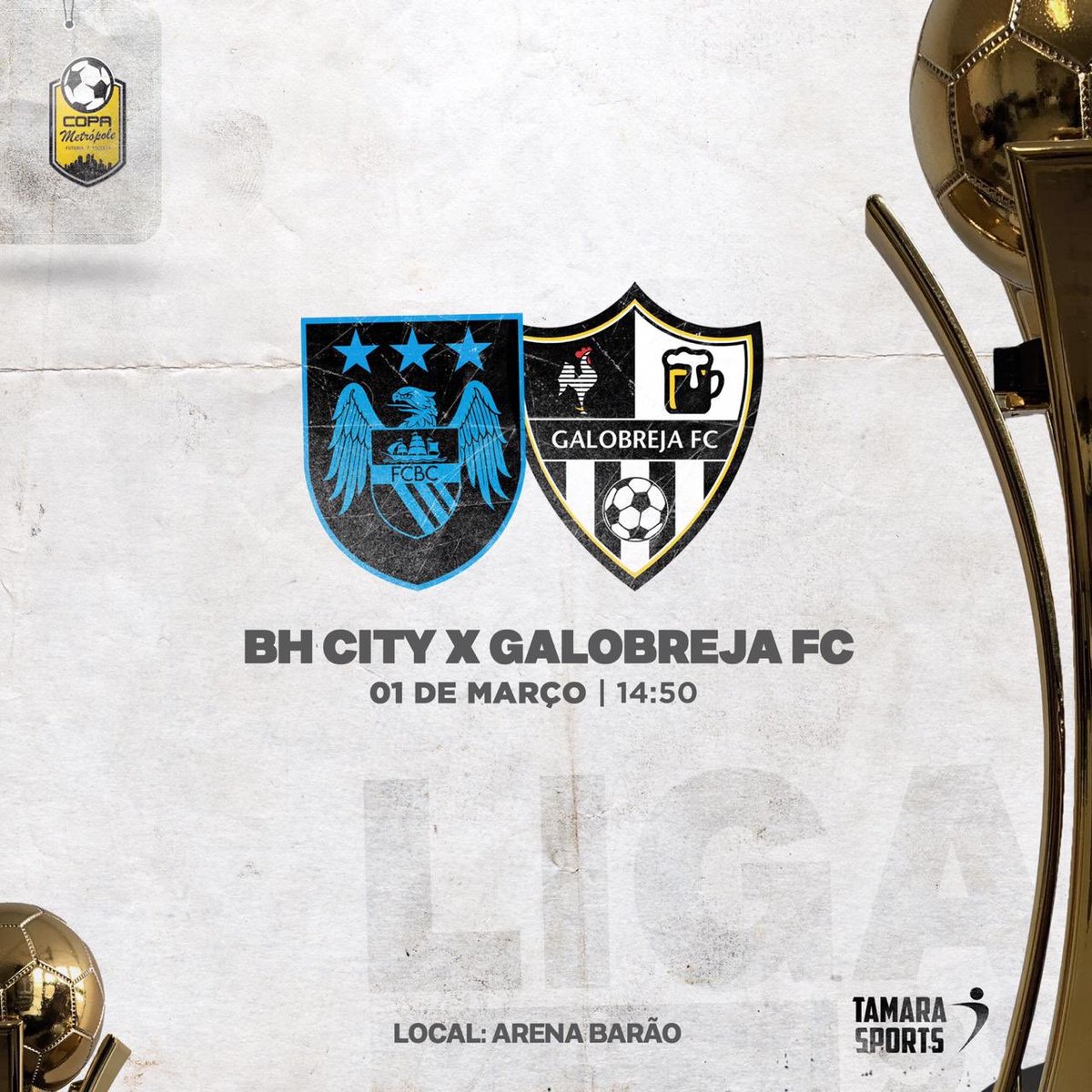 _bhcity's tweet photo. VAI COMEÇAR! Após passar o ano de 2019 em branco, BH City inicia a caminhada de 2020 em busca do título da Copa Metrópole, com estréia já nesse final de semana. O primeiro desafio dos azuis será contra a equipe do @GaloBreja, domingo, às 14:50. #AvanteCity 💙🚀 https://t.co/roxmwONSk8