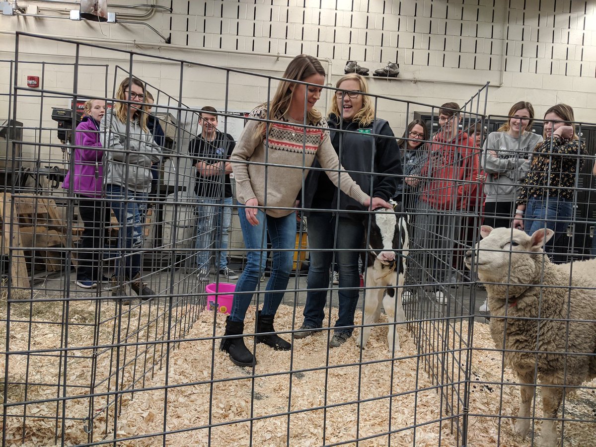 Sarabeth Alderfer tweet media