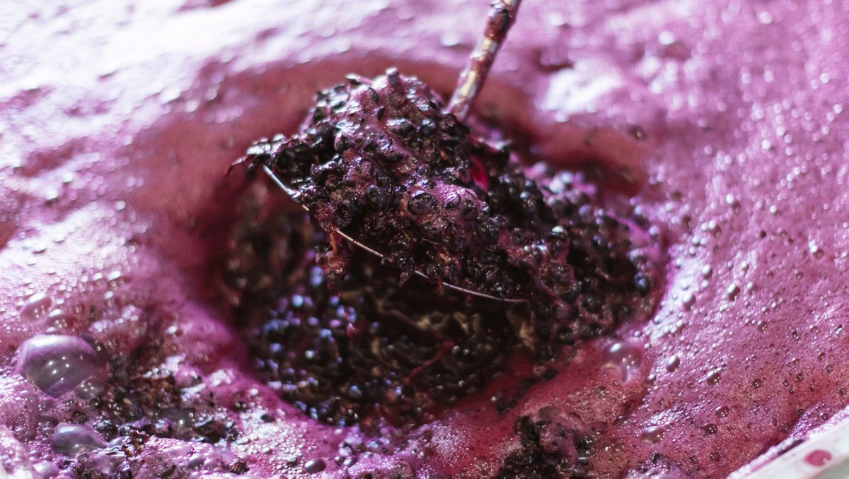 MtLangiGhiran's tweet photo. The majority of the colour and tannin in a red comes from the skin of the grape, so hand plunging the skins back down into the vats ensures that as much as possible is infused into the wine - as demonstrated here with a small ferment of our shiraz.

📸 Wine Australia https://t.co/hKWgEP1d1e