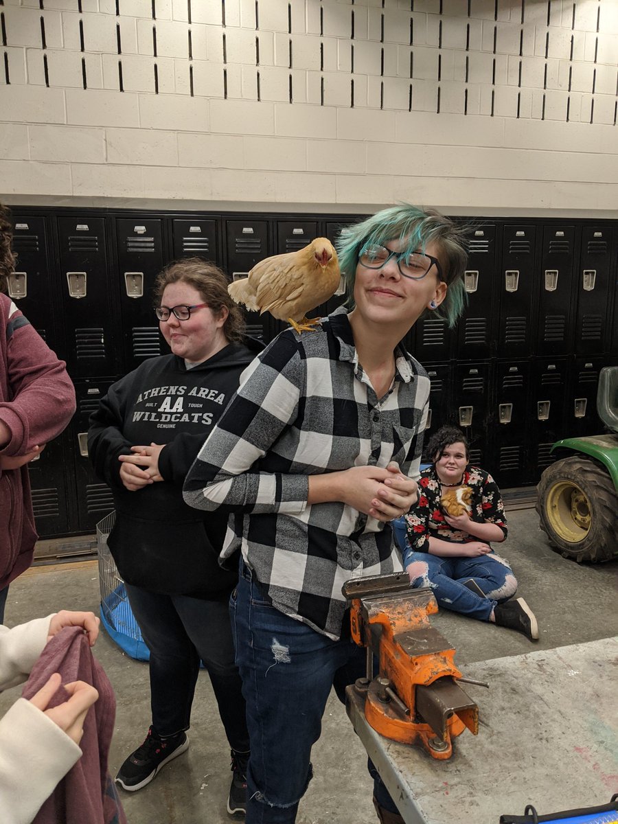 Sarabeth Alderfer tweet media