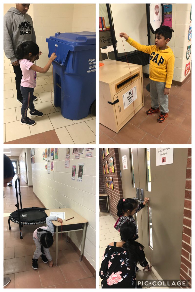 CardoneMrs's tweet photo. K5 students and their learning buddies working together to measure and compare heights! @MsC_kindies @PteBuckamSingh https://t.co/wLIpdzaIqH