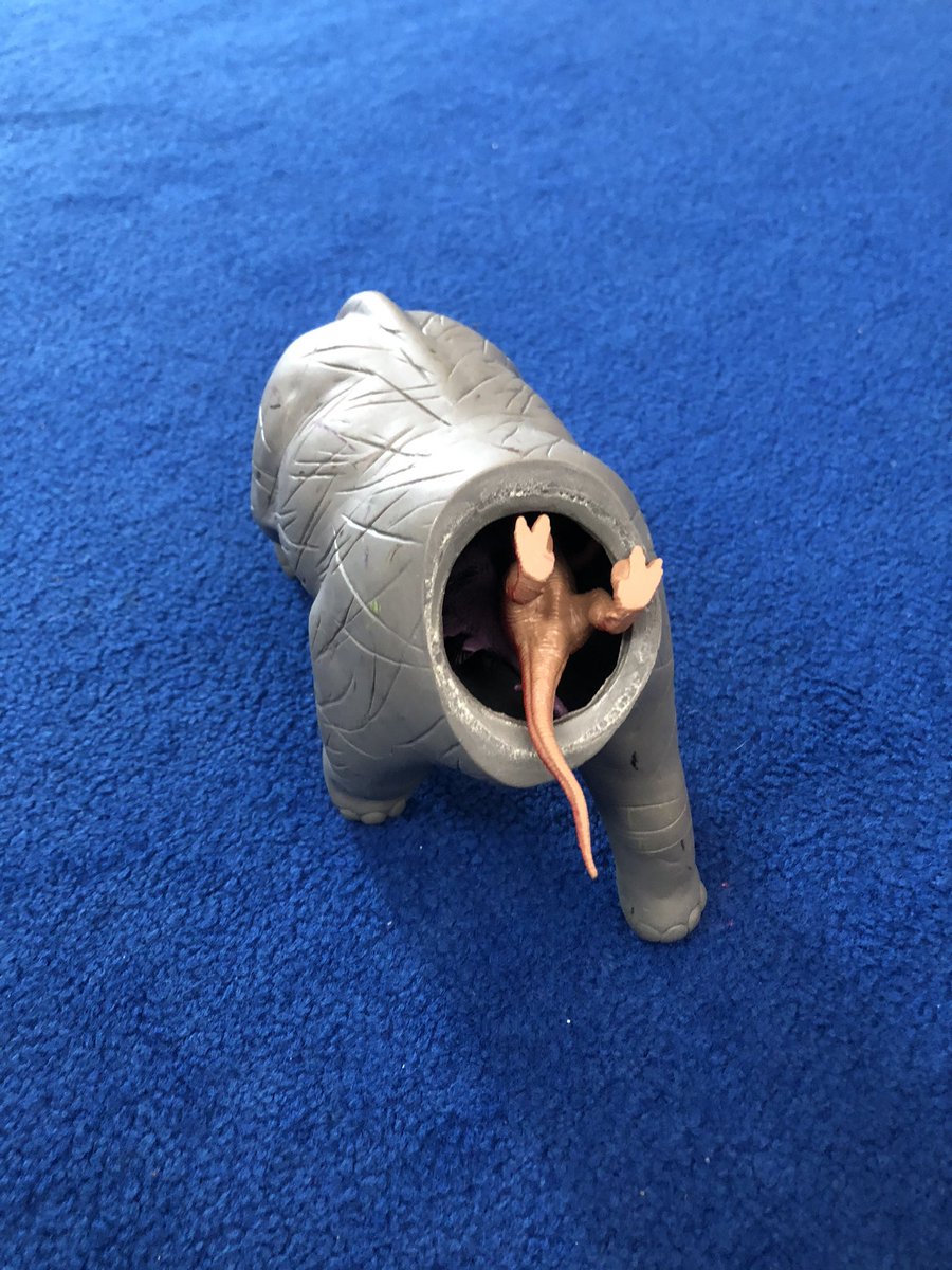 “we don’t put dinosaurs in the elephant.” #thingswesayinpreschool