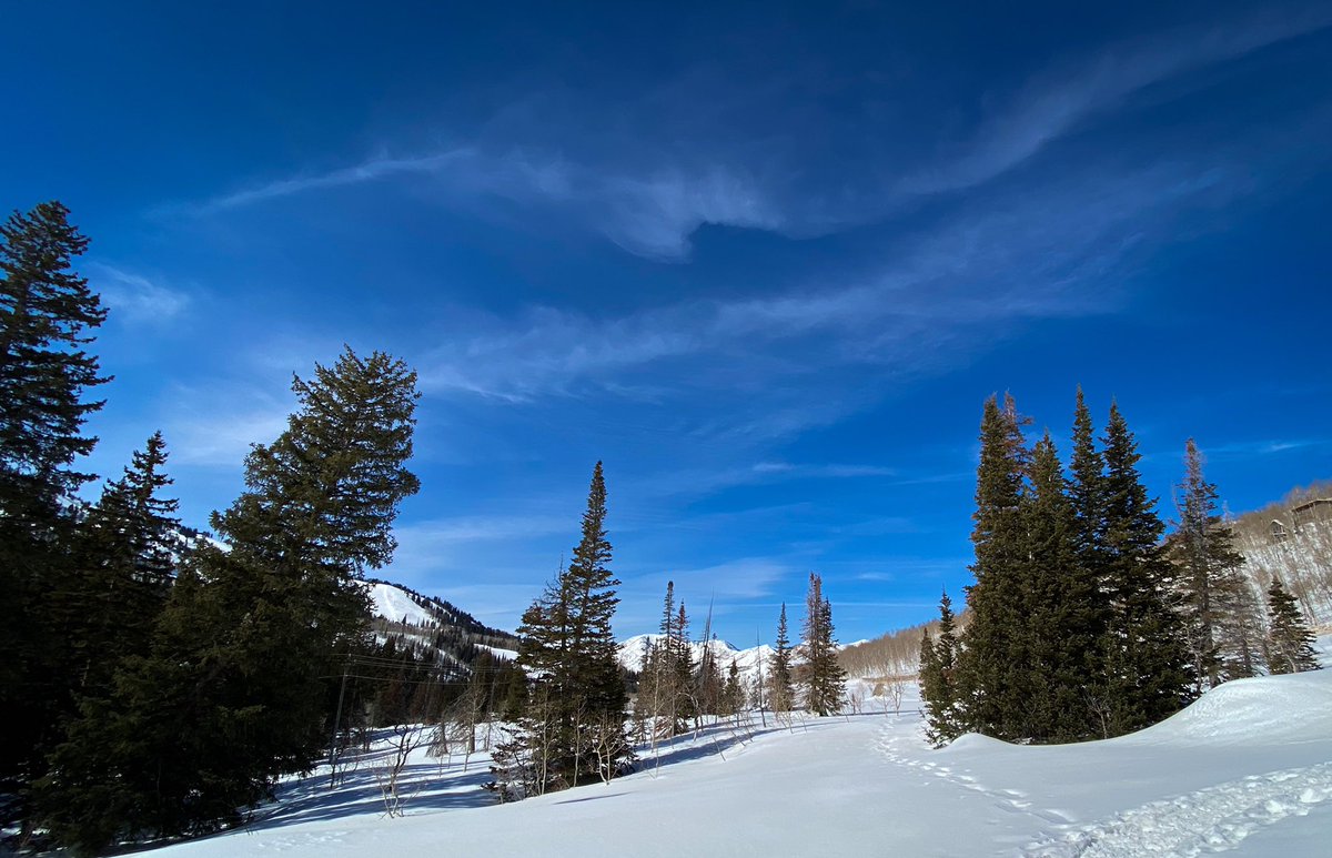 J-Michel Mougeolle tweet media