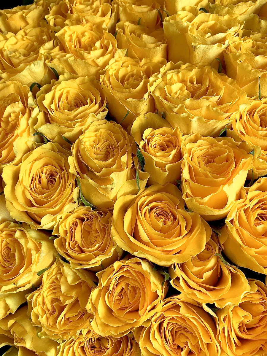 Choco Lucky 黄色いバラの花言葉 友情 平和 私の 世界に一つだけの花 Smap 新しい地図 のんびりな会 We Love Smap Forever 令和もsmapファン Flowers