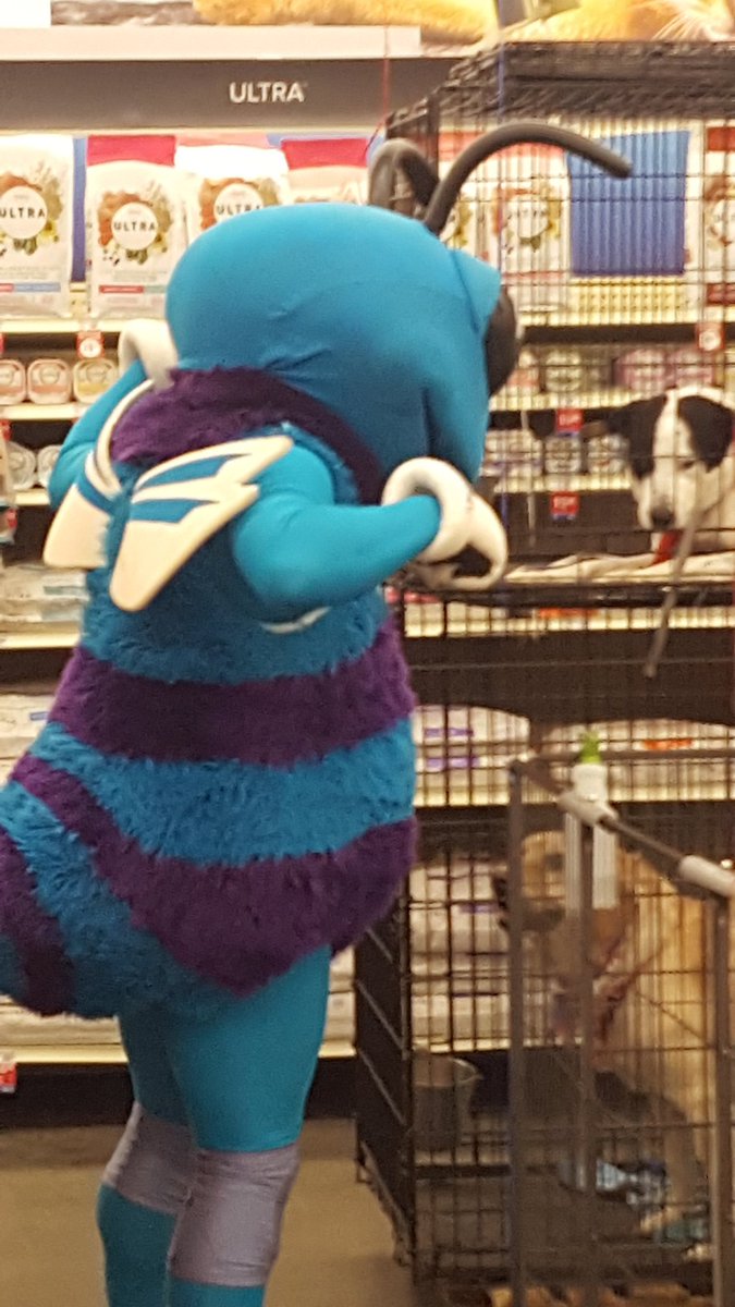 petm0409's tweet photo. https://t.co/J7jDa8lZuu