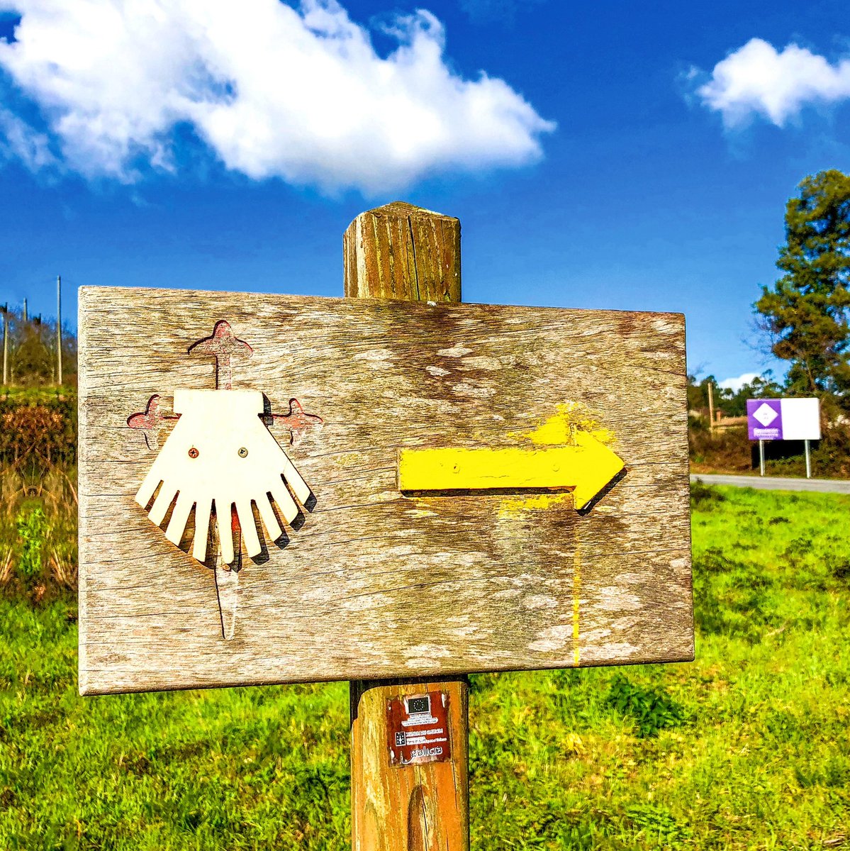 MarlyCamino's tweet photo. Is the Camino de Santiago on your bucket list this year?...which of our 👣 Caminos would you like to walk?

➺ ➺ ➺ ➺ ➺⁠

Hacer el Camino de Santiago está en tu lista de deseos de este año?...¿Cuál de nuestros Caminos te gustaría realizar?

#StJamesWay #CaminoDeSantiago #Life https://t.co/6pvGtDQQGS