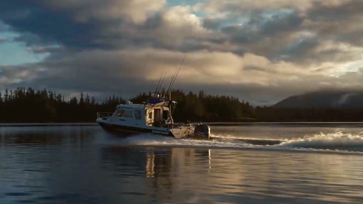Shearwater tweet media