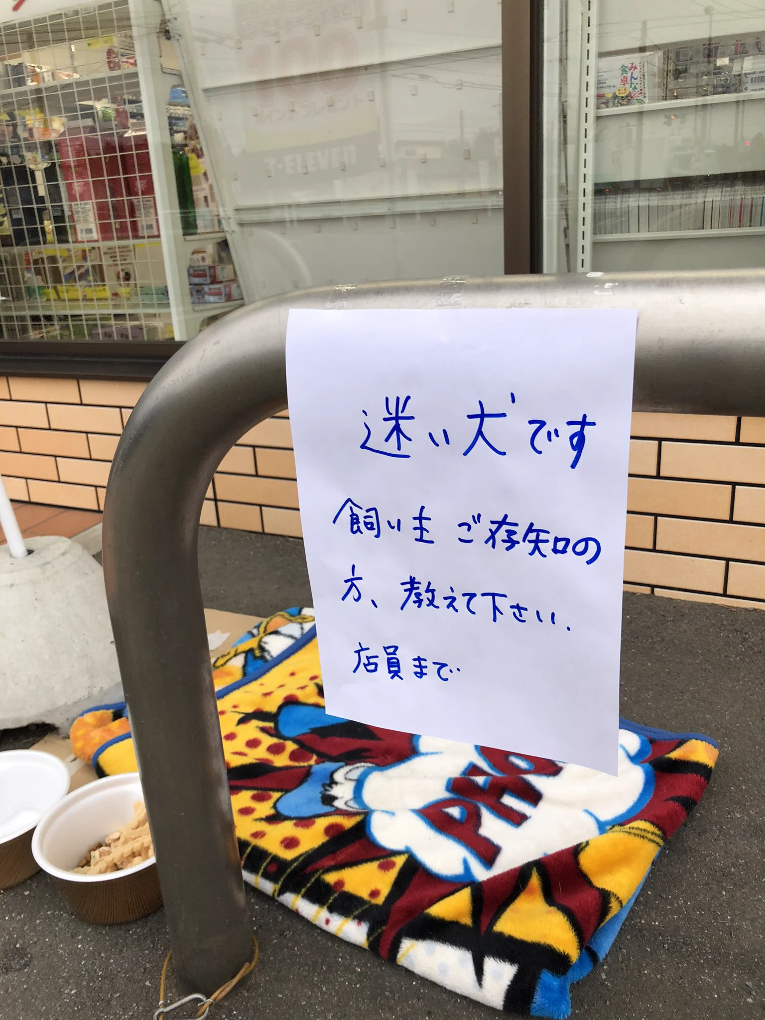 【拡散希望】迷子の柴犬の写真が投稿されると一気に話題に