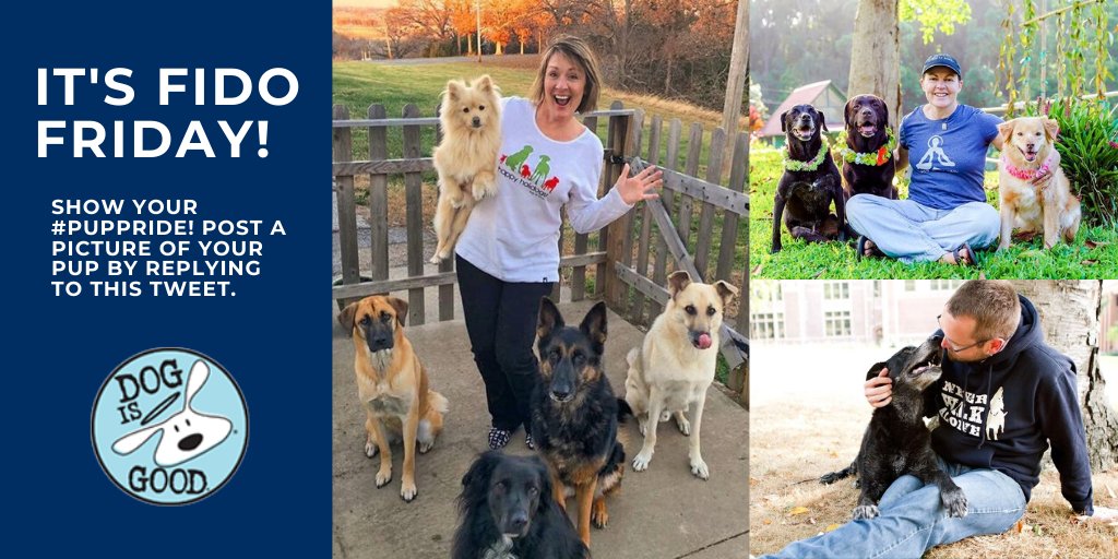 Show your #PupPride. Be a part of #FidoFriday. Post a picture of your pup by replying to this Tweet. Get into the #Doggie #Lifestyle with <a href="/dogisgood/">Dog is Good</a> — bit.ly/390UjtV

#smallbiz #DogLover #apparel #local